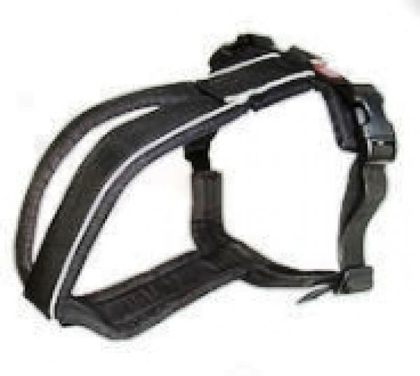 Führgeschirr gepolstert - Half Harness (Sport, Mantrailing, Trekking)